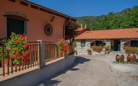 Casa Vacanze 01234 - Agriturismo La Marpea, Esperienza In Mezzo Alla Natura E Al Cibo Tipico Italiano